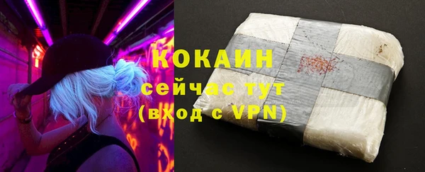 apvp Бородино