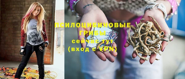 МДМА Богданович
