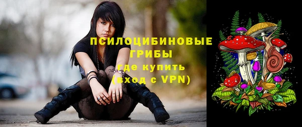 молекула духа Богородск